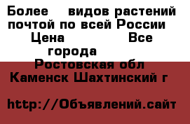 Более200 видов растений почтой по всей России › Цена ­ 100-500 - Все города  »    . Ростовская обл.,Каменск-Шахтинский г.
